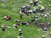 2013-Oberstdorf03