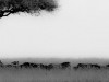 2013-Tansania24