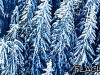 2016-StJohann06
