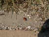 070320-23_hamburg_mk162