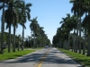 20101008_way_to_cape_coral_mk202