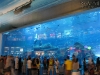 Dubai Mall - Aquarium