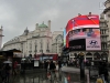 Piccadilly Circus