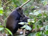 20130924-26_flug_arusha_np_mk063