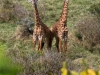 20130924-26_flug_arusha_np_mk117