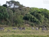 20130924-26_flug_arusha_np_mk190