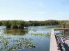 20140421_everglades_mk064