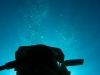 20150716-23_el_gouna_tauchen_egypt_mm022
