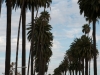 20150912_los_angeles_mk114