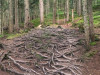 20200917-21_wilderkaiser_mk136