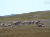 20221103-21_suedafrika_kapstadt_gardenroute_mk2914