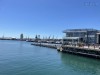 20221103-21_suedafrika_kapstadt_gardenroute_mk3669