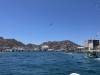 20250316-24_mexiko_baja_california_sur_mk0239