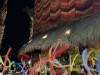 20250316-24_mexiko_baja_california_sur_mk0286