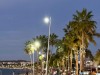 20250316-24_mexiko_baja_california_sur_mk0561