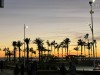 20250316-24_mexiko_baja_california_sur_mk0563