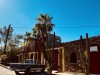 20250316-24_mexiko_baja_california_sur_mk0785