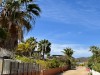 20250316-24_mexiko_baja_california_sur_mk0828