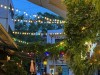 20250524-28_athen_mk385