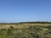 20250610-15_koeln_renissee_holland_mk107