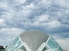 20250731-0803_valencia_mk244