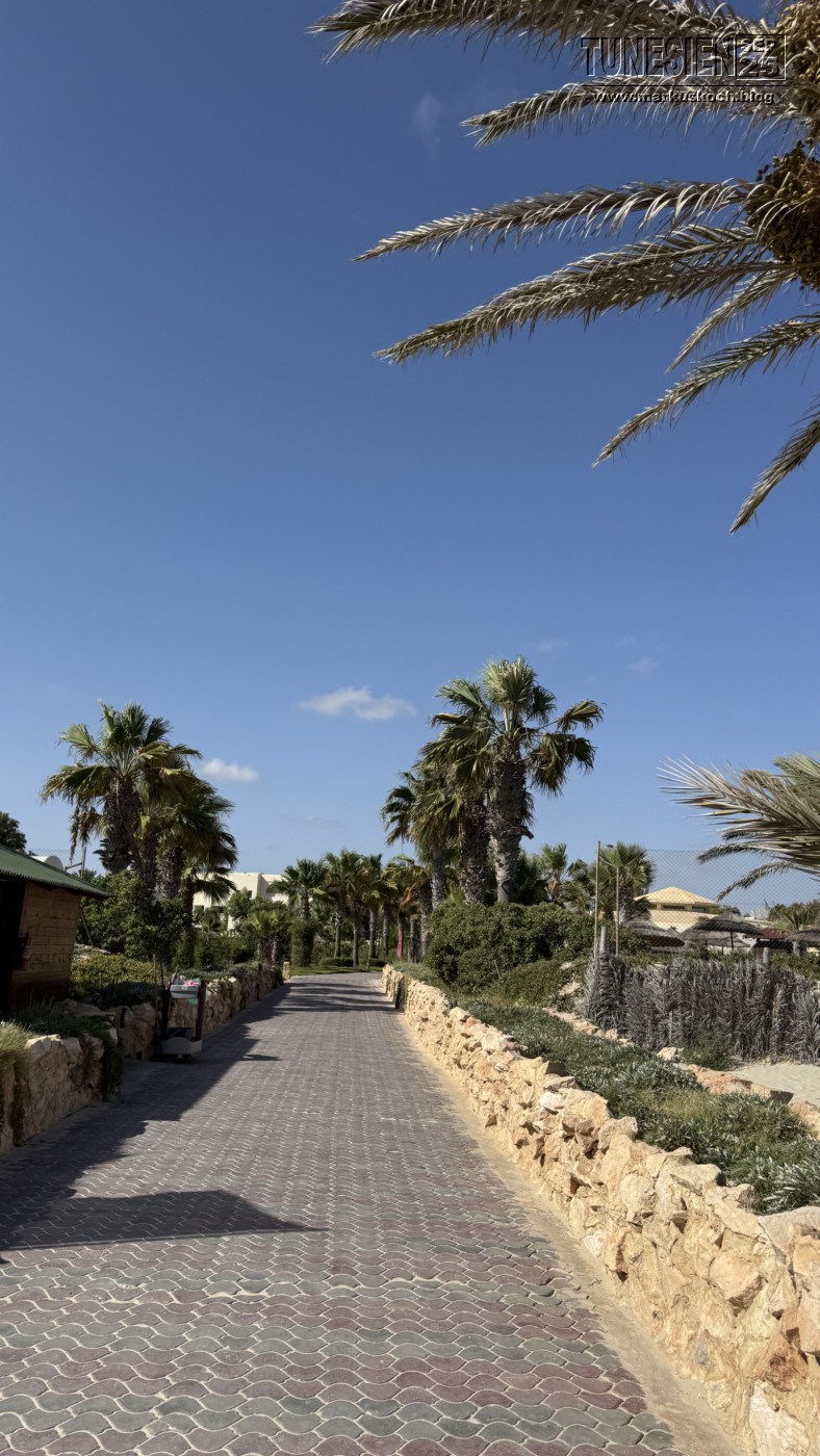 20250903-13_magiclife_penelope_beach_djerba_tunesien_mk031