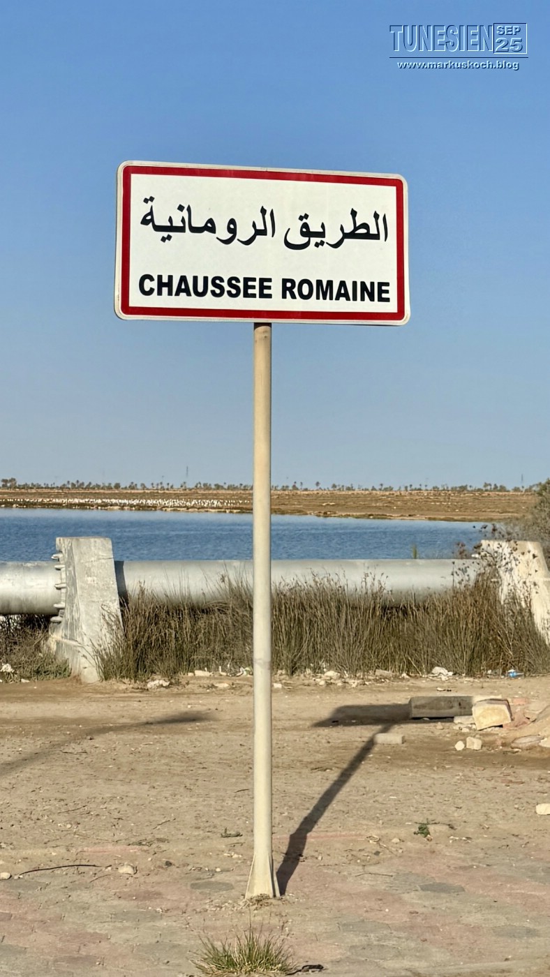 20250903-13_magiclife_penelope_beach_djerba_tunesien_mk117