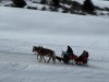 202517-21_skiing_dolomiten_mk538